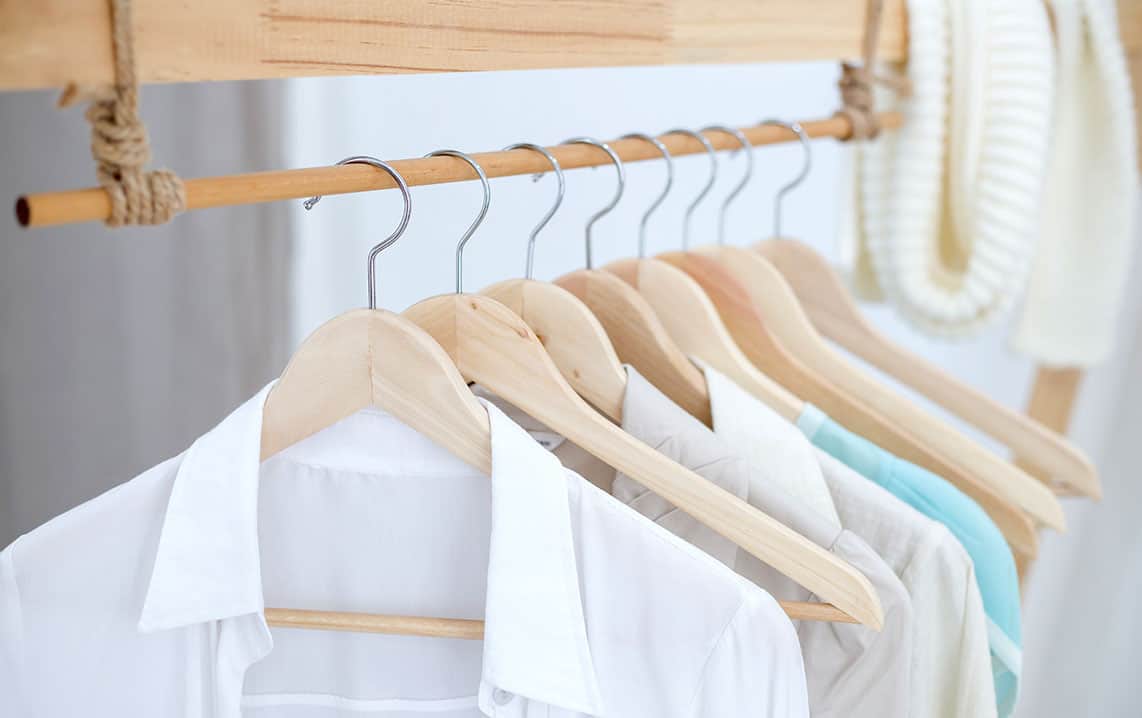 Closet w/Shirts Neatly Organized